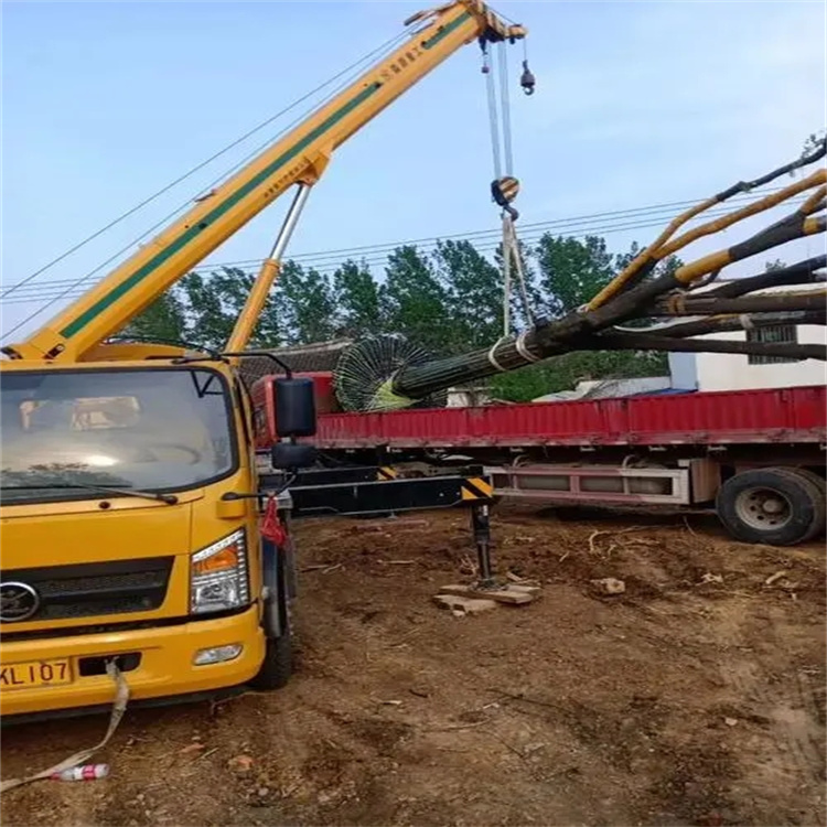 石河镇100吨吊车租赁费用怎么算？3大关键因素+省钱技巧全解析